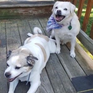 Meet your Posher, Emma